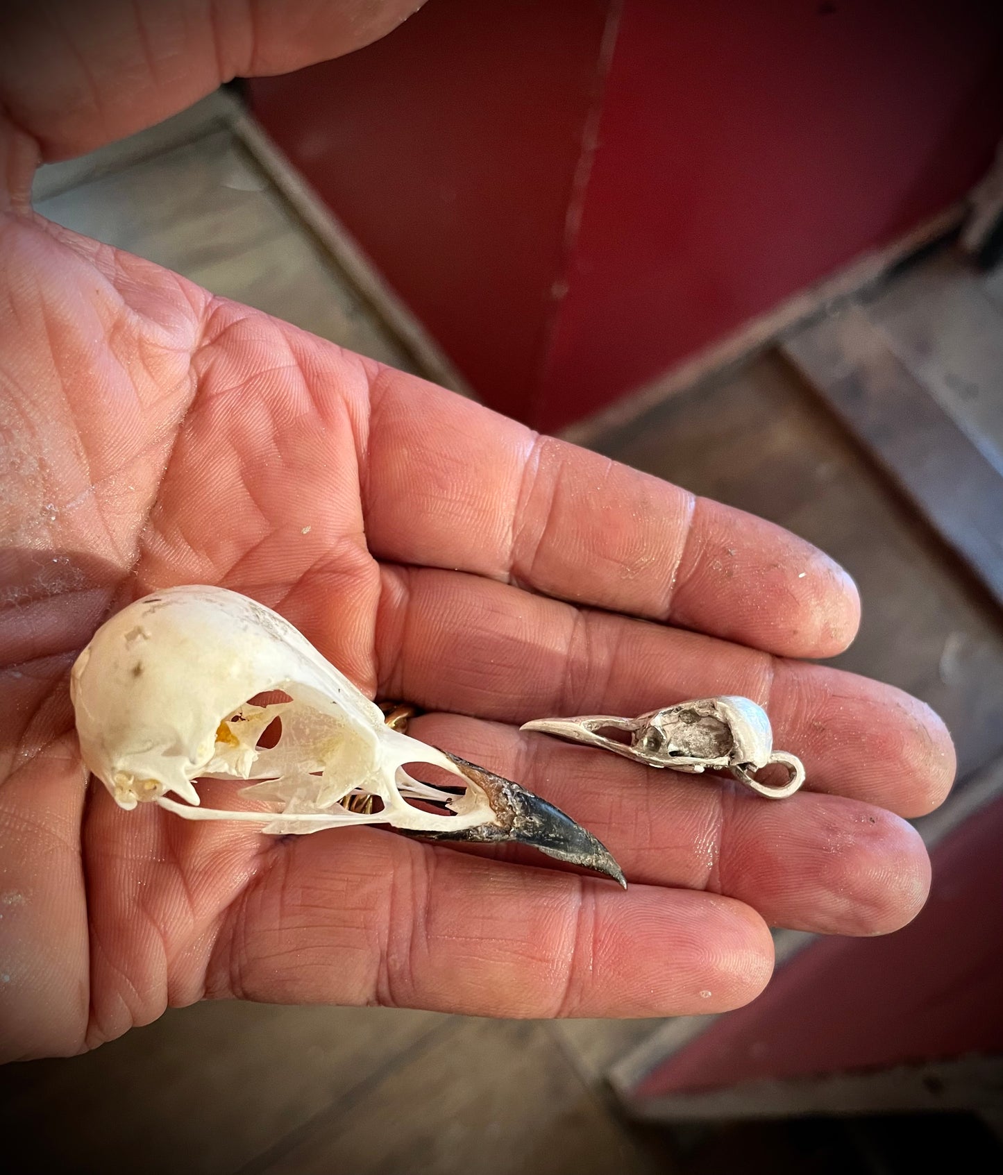 ‘Crow Skull’