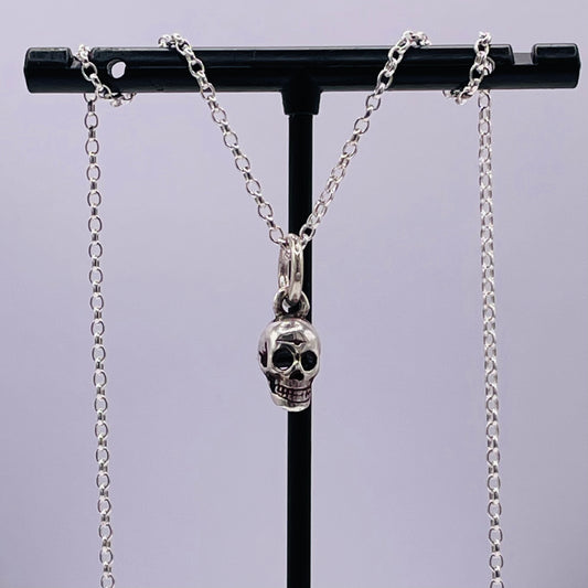 Skull pendant and chain